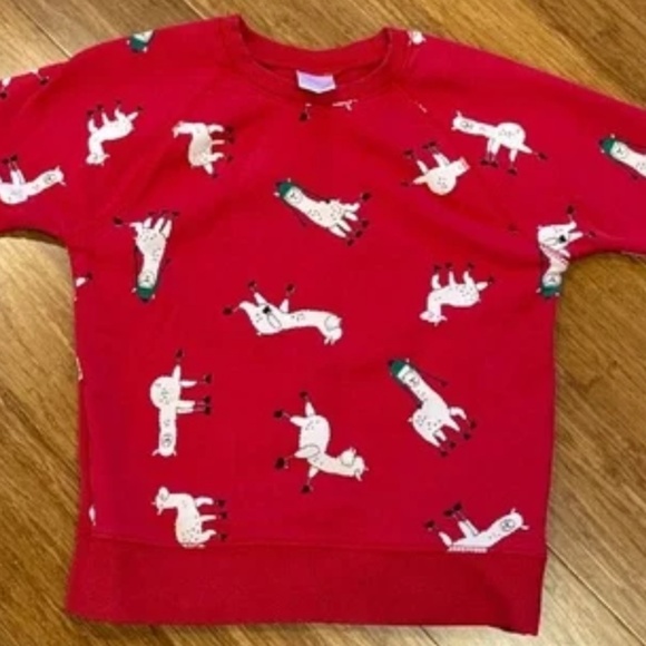 Hanna Andersson Other - Hanna Andersson Red Llama Sweater